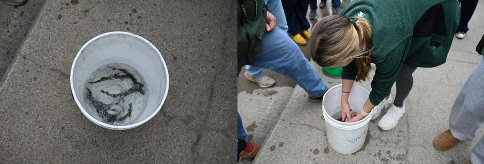 Bucket and student combined.jpg
